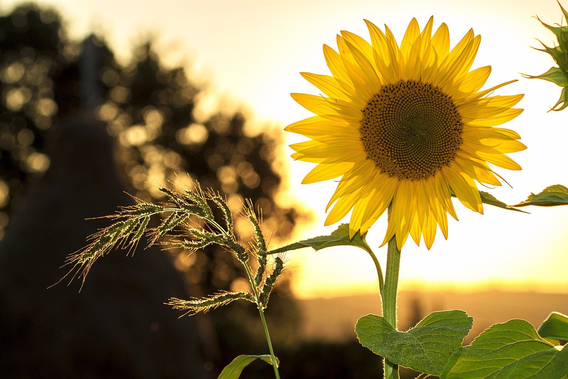 Improve your life with more time in nature Improve your life with more time in nature