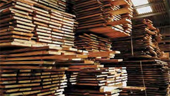 FSC Certified European Oak
