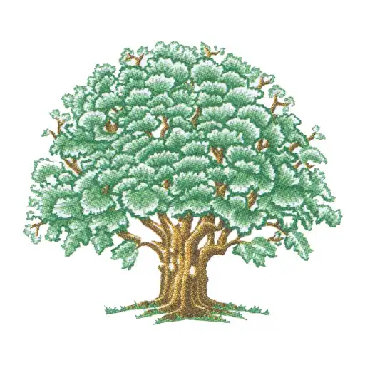 Luxury Oak Range