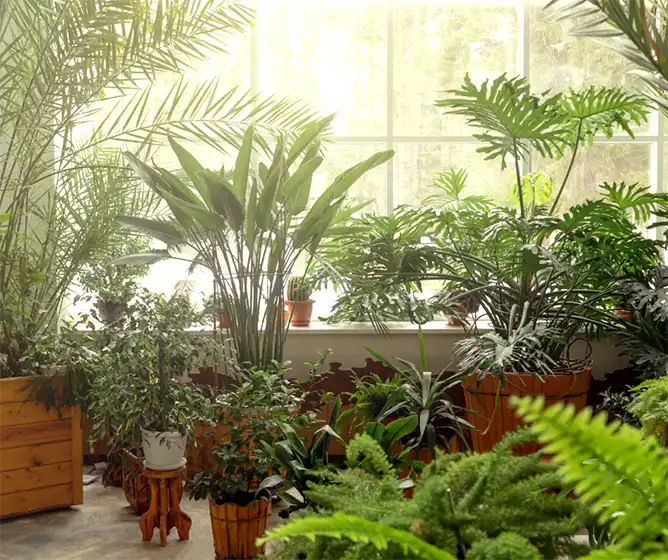 Versatile Uses of Conservatories and Orangeries