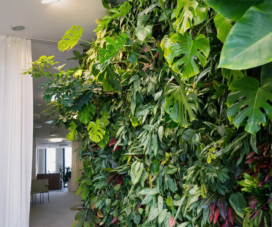 The Benefits of Having Plants in Your Orangery or Conservatory